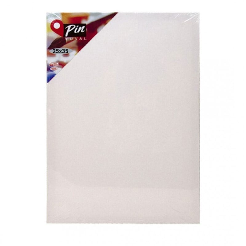 PİN TUVAL 25 X 35 CM ARKADAN ZIMBALI