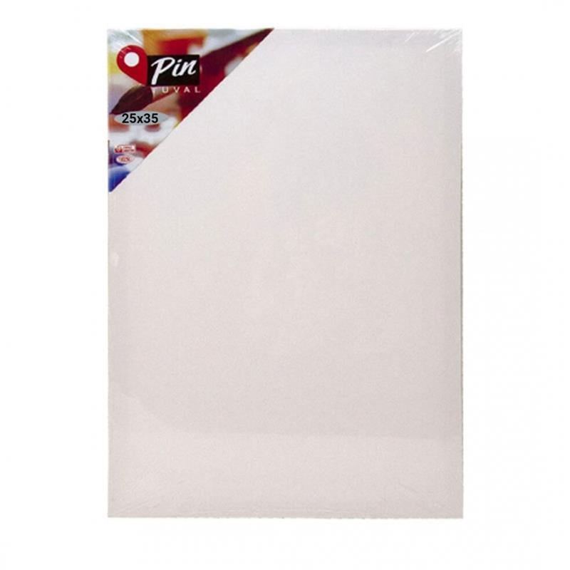 PİN TUVAL 25 X 35 CM ARKADAN ZIMBALI