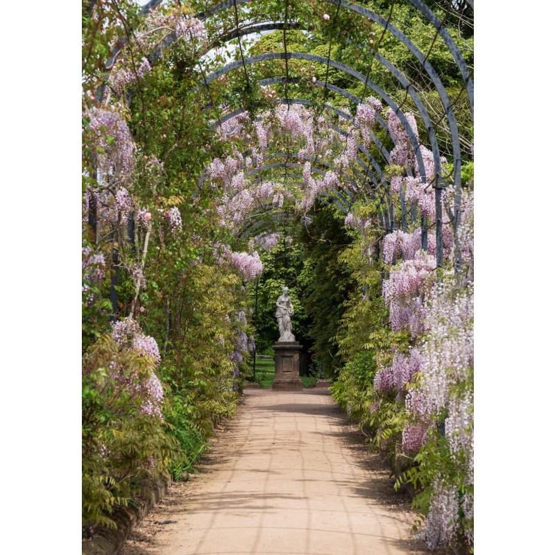 Charming England Book