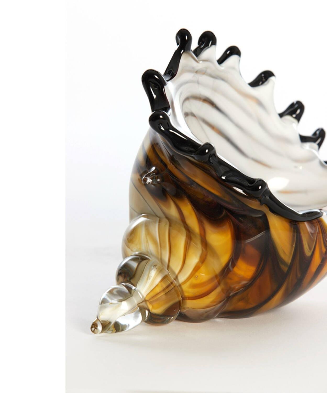 Shell Glass
