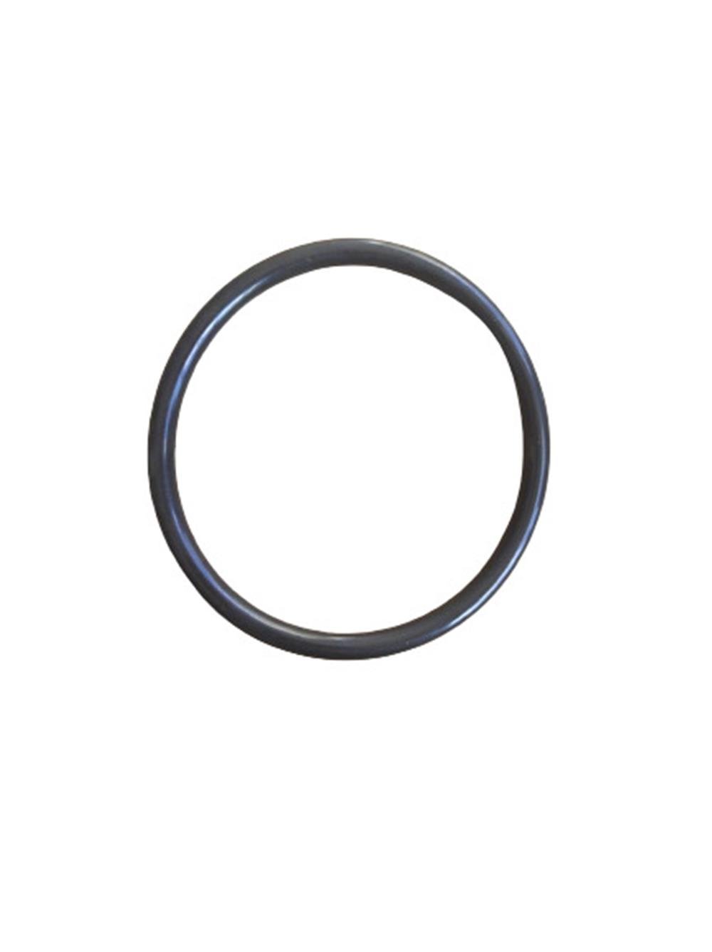 10043272 ORING