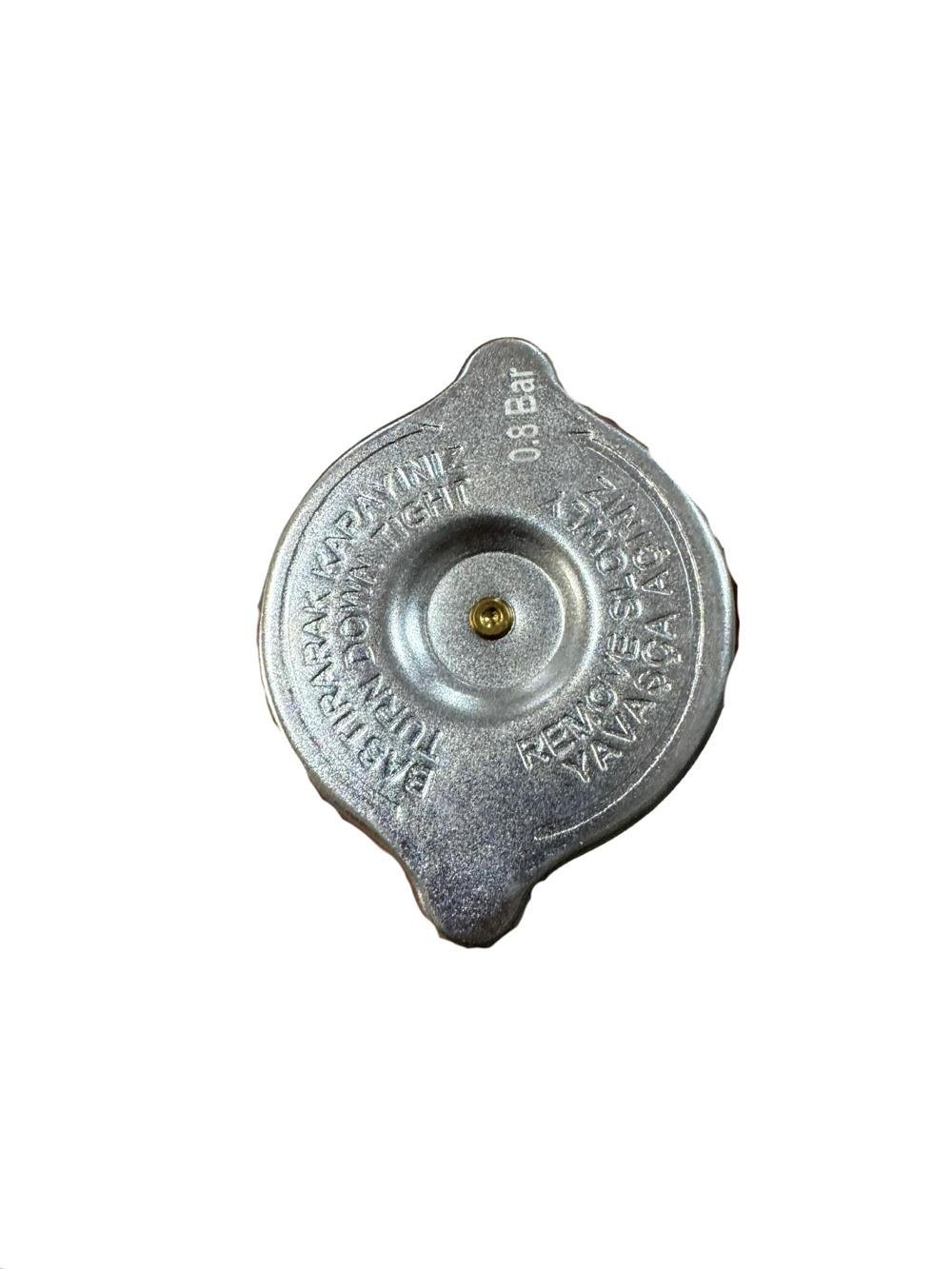 10023226 RADYATÖR KAPAGI