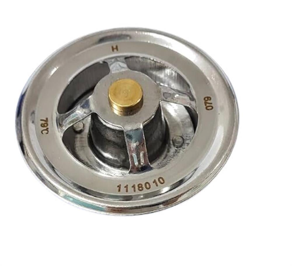 111-8010 TERMOSTAT