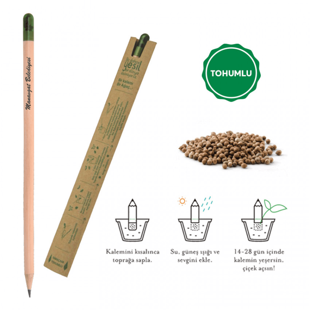 569 TOHUMLU NATUREL KURŞUN KALEM KALEM *50