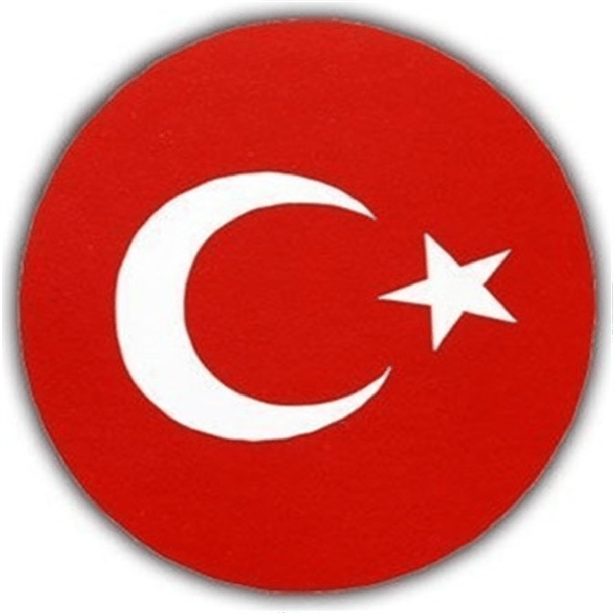 BAYRAK STİCKER ÇIKARTMA 7,8*8 CM 10 LU
