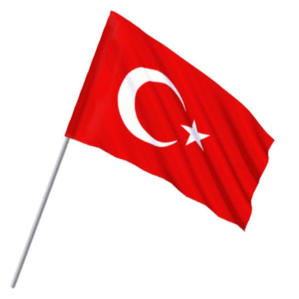 BEZ BAYRAK ALPAKA KUMAŞ SOPALI 50X75 *10