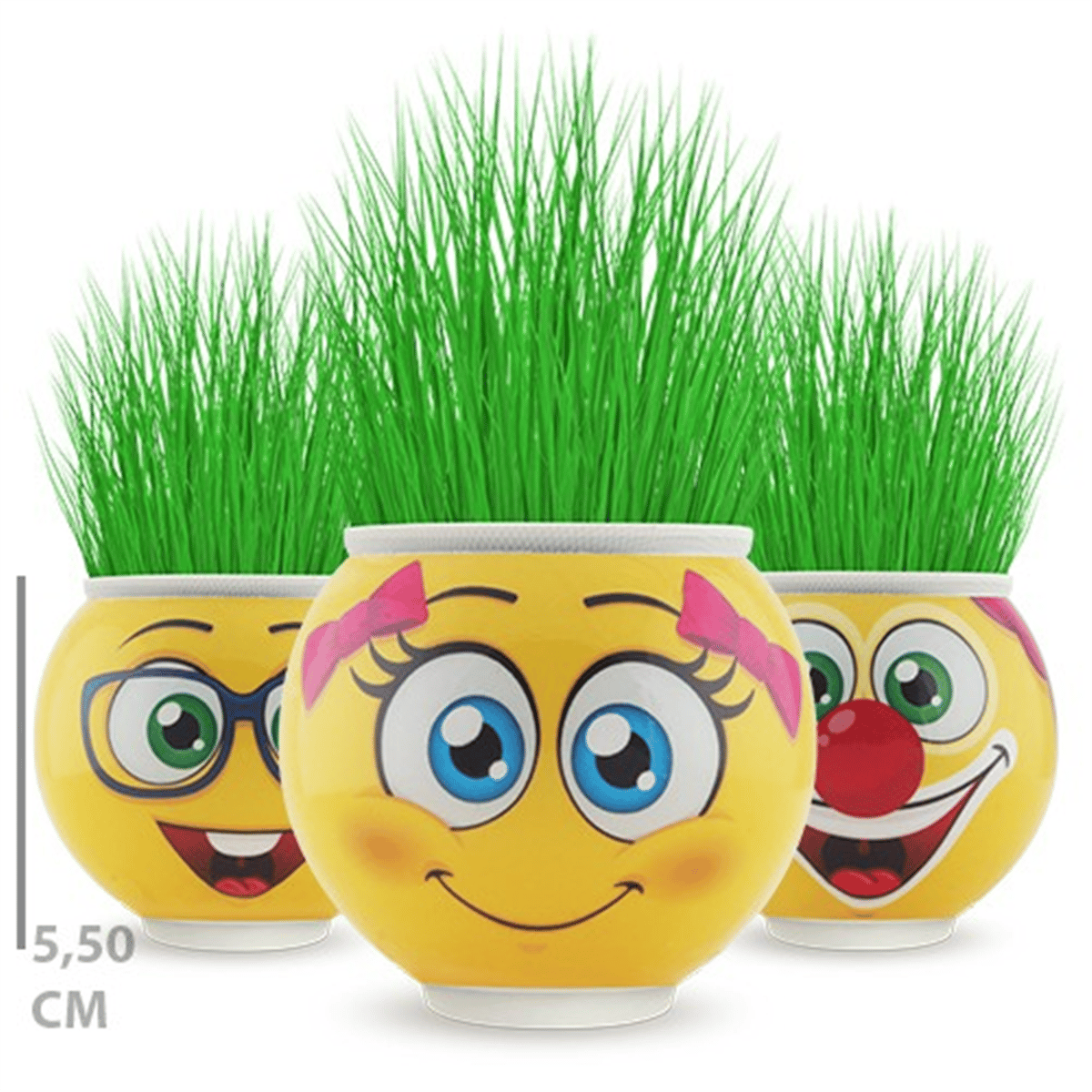 ÇİMOJİ YUVARLAK ÇİM ADAM 24 LÜ PK