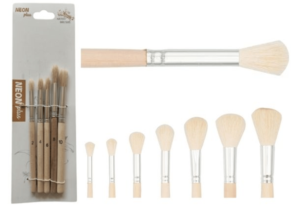 NEON 5 Lİ ALIŞTIRMA FIRÇA SETİ HKD-154 PAKET:12 Lİ