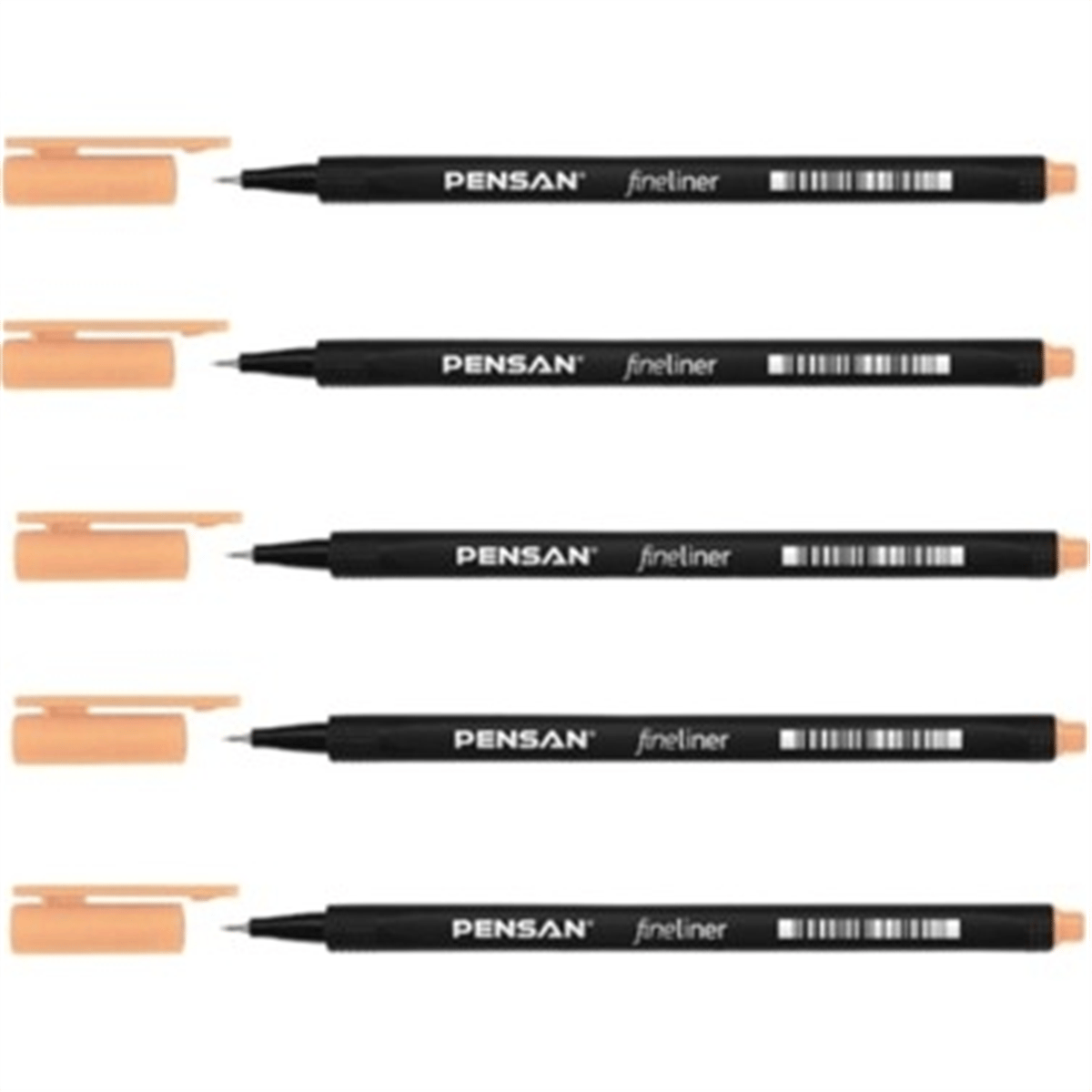 PENSAN 6500 FİNELİNER TEN RENGİ KALEM 10 LU