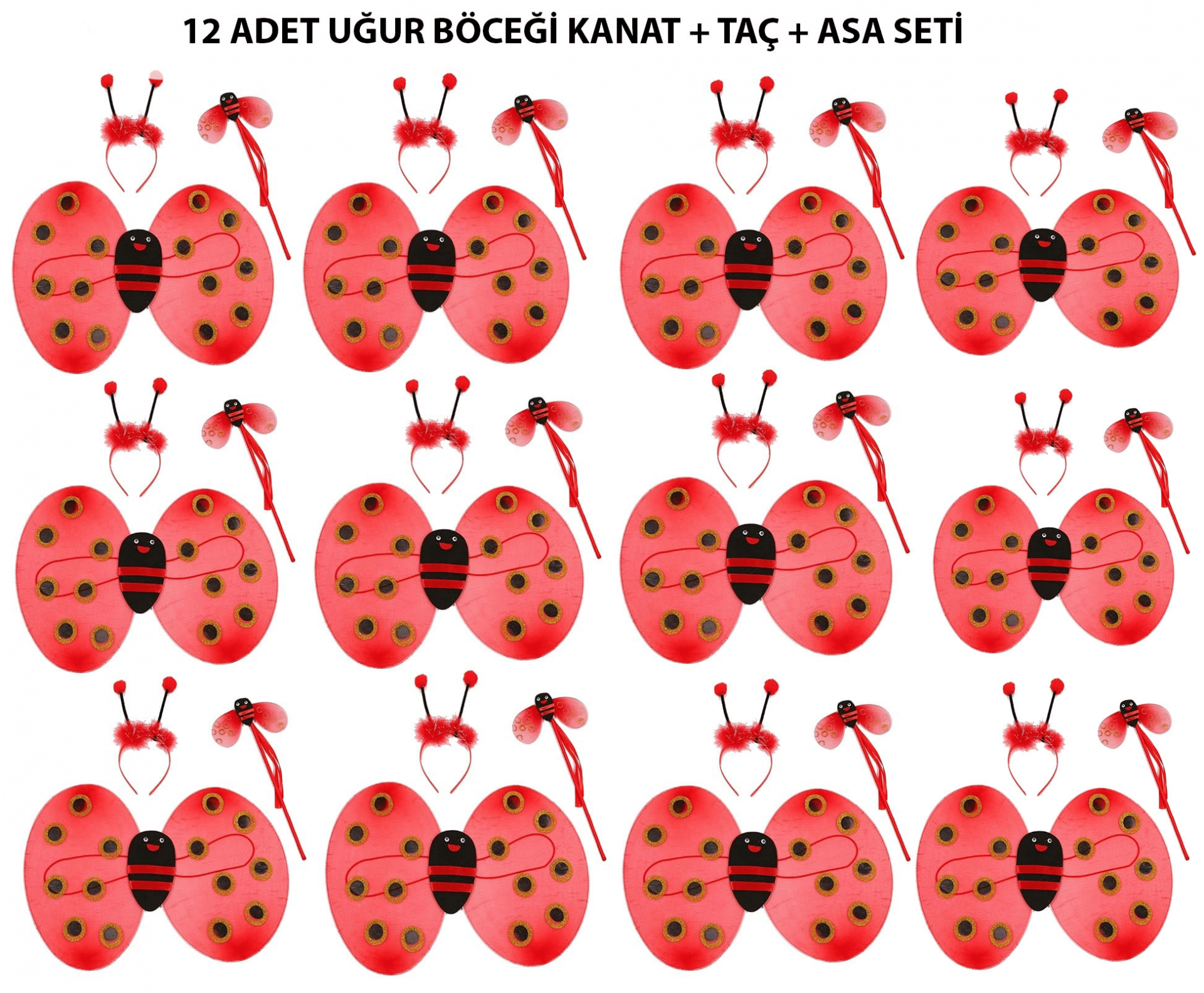 Uğur Böceği Kostüm Seti - Kanat, Taç, Asa 12 Adet