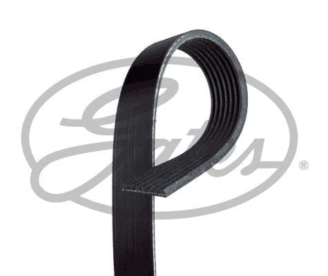 KANALLI KAYIŞ RENAULT MASTER PRO T35 T55 T65 3.0DCI 16V 04 > HONDA NISSAN TOYOTA