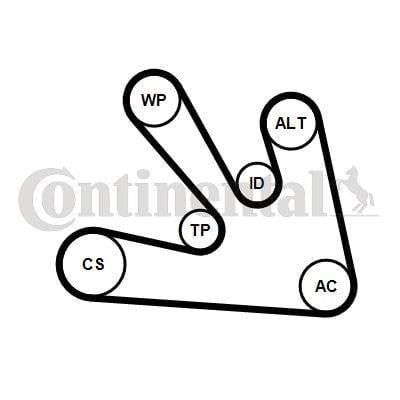 Multi V-Belt Kit Water Pump