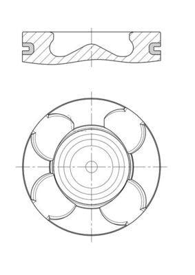 Piston Complete