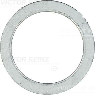 RING 43X58X1.9