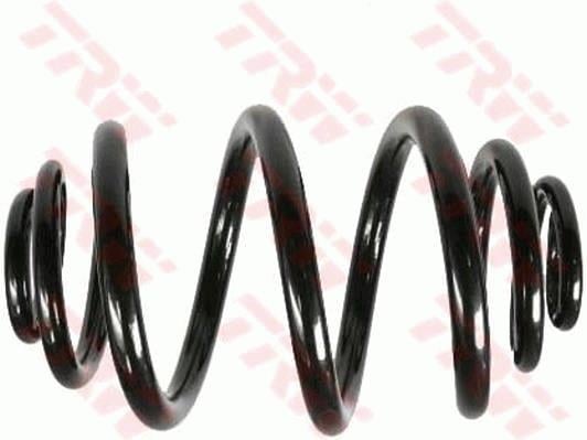 SÜSPANSİYON YAYİ ARKA AKS BMW 3 E46 -3 COUPE E46 -