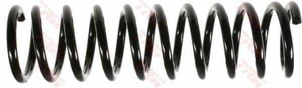 SÜSPANSİYON YAYİ ARKA AKS BMW 5 E34 -