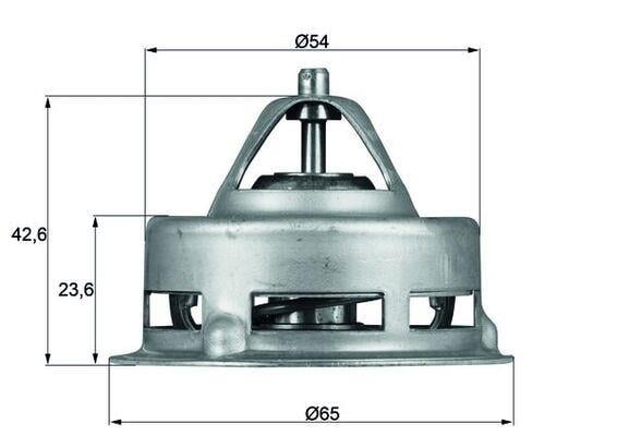 TERMOSTAT Thermostat insert
