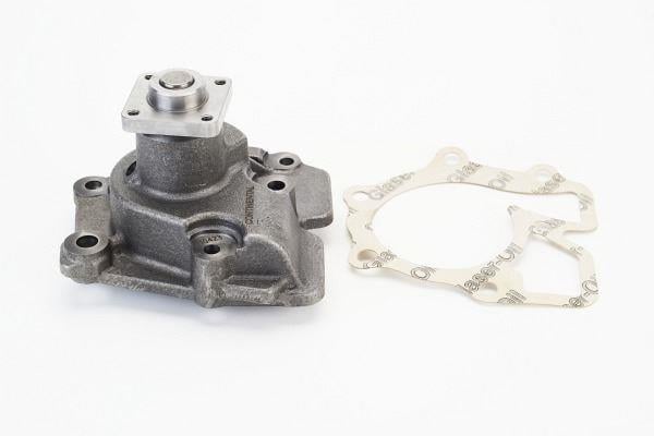 WPS3209 Water Pump