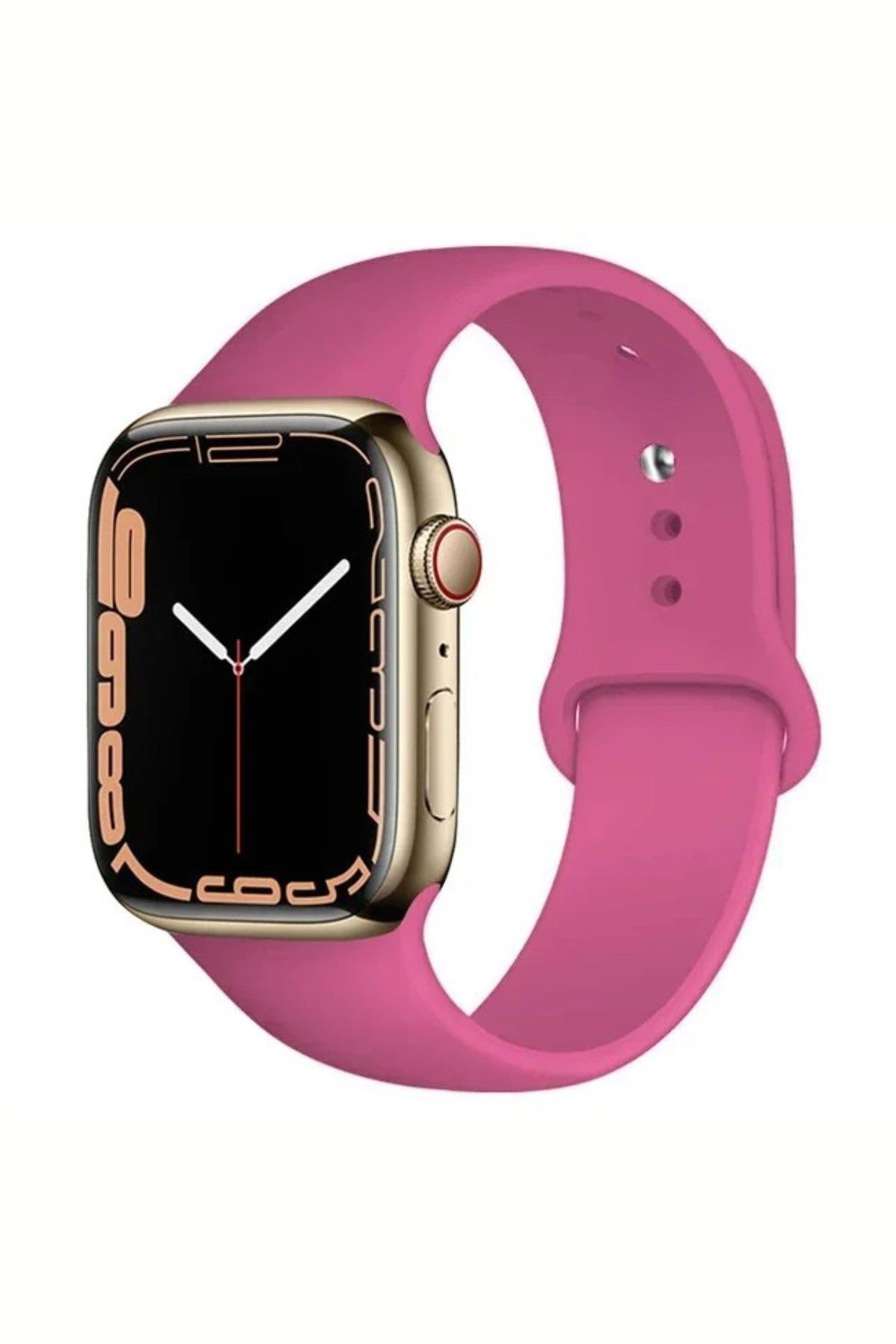 apple-watch-uyumlu-seri-123456se789-38-95a174.jpg