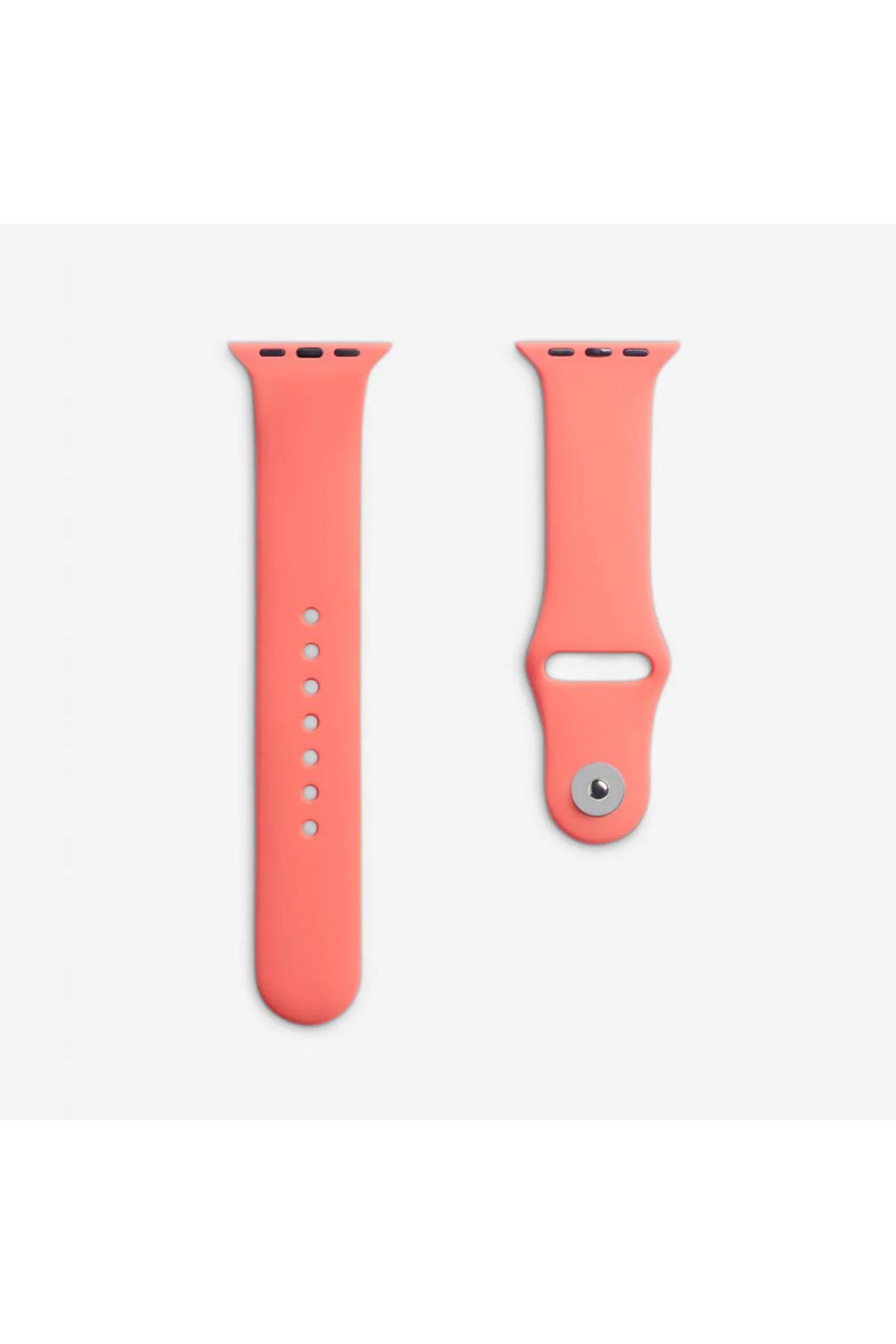 apple-watch-uyumlu-seri-123456se789-38-d2fee5.jpg