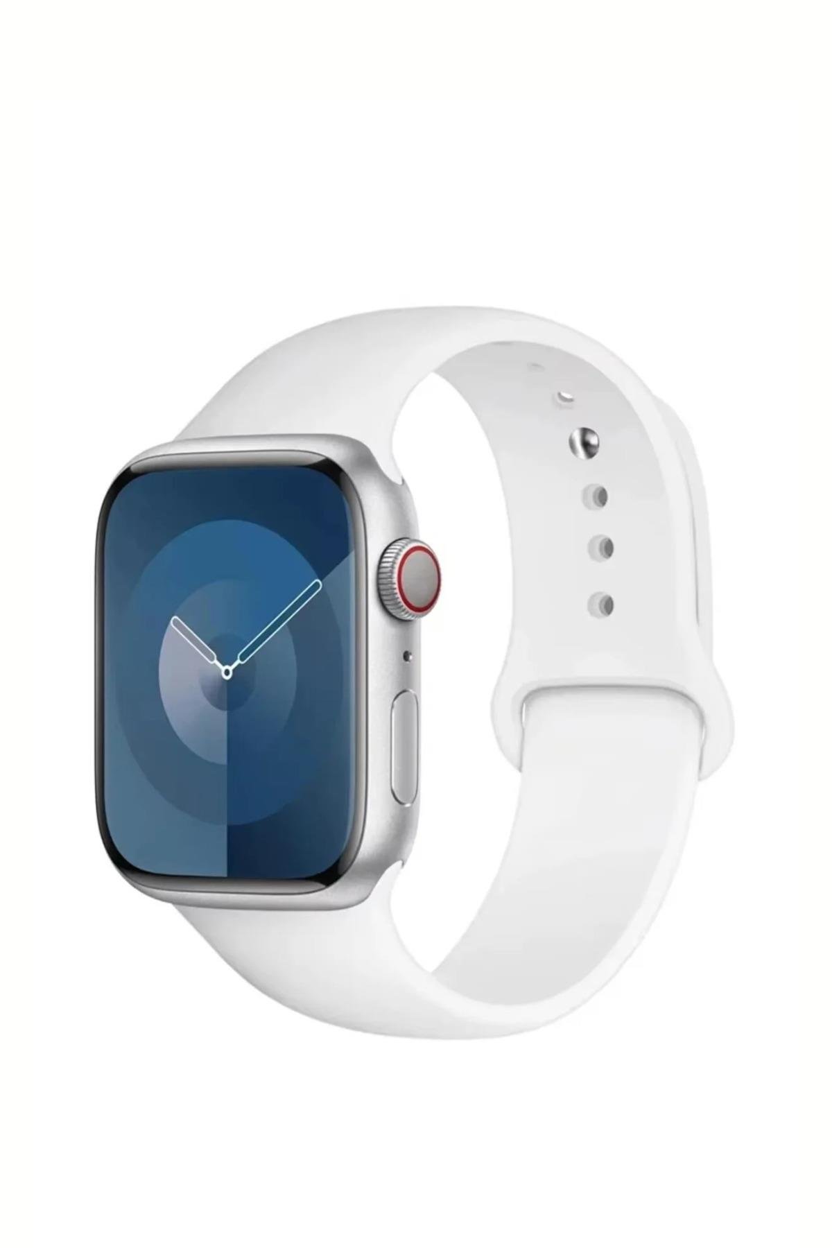 apple-watch-uyumlu-seri-123456se789-38-f-141a.jpg