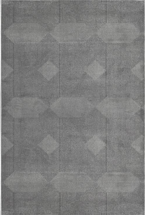 By Özer Halı Koyu Gri Renk İskandinav Modern Stil Royal Halı Arles FJ01B Salon Halısı