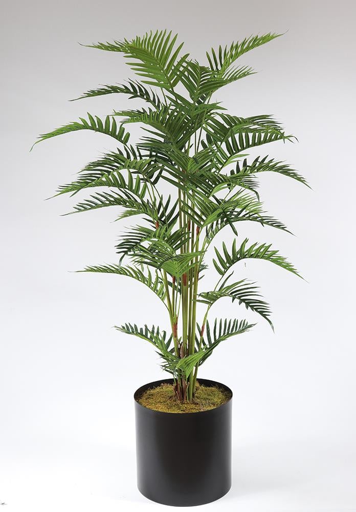 ÇİNPA FERN PALM 150 CM SAKSILI
