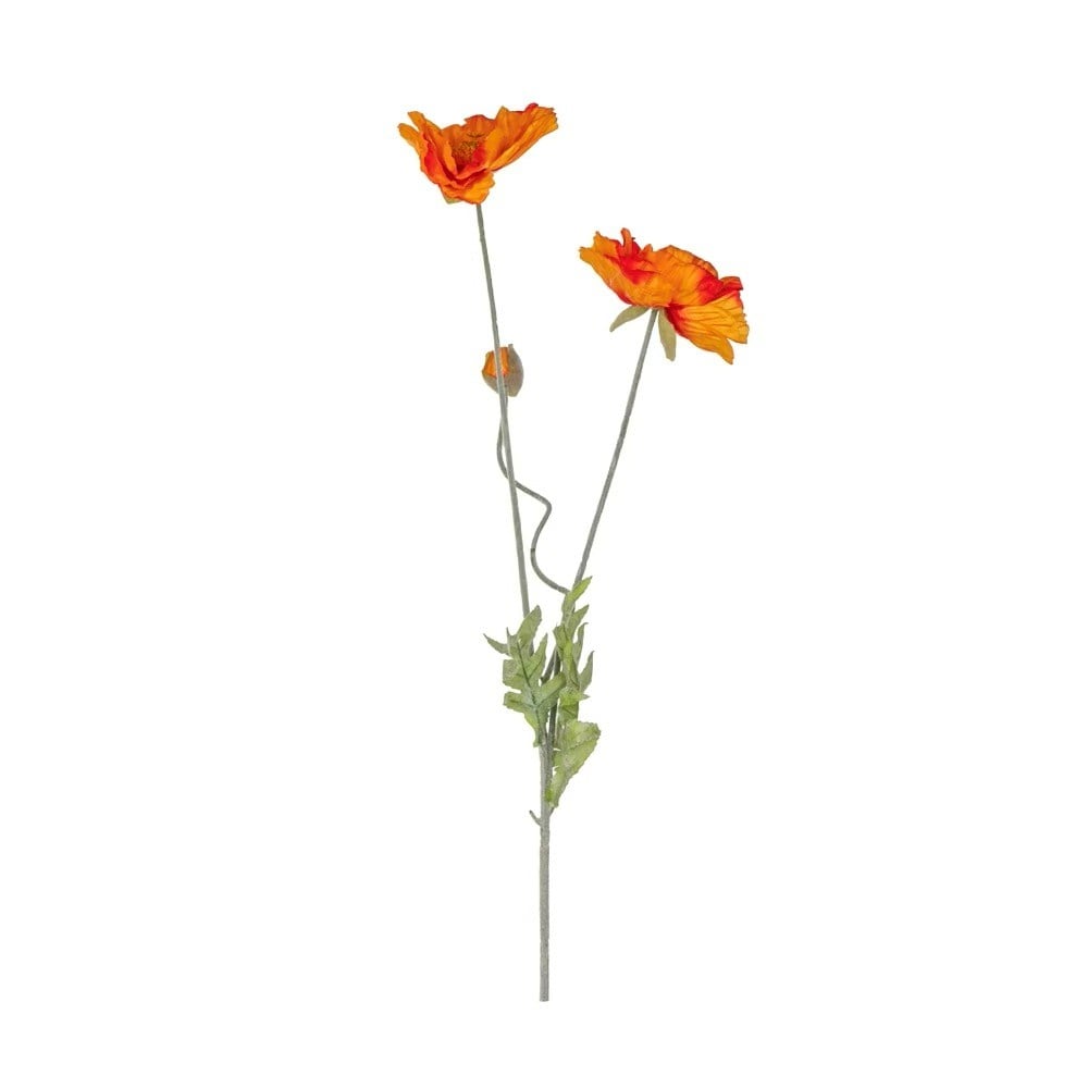 Heads Poppy (orange)