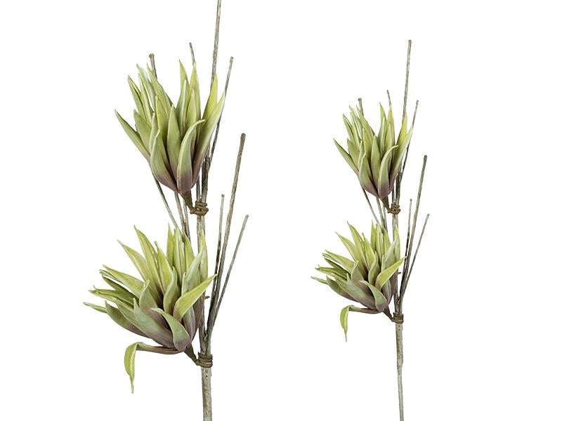 LMD CYPERUS YESIL KIRMIZI 78CM