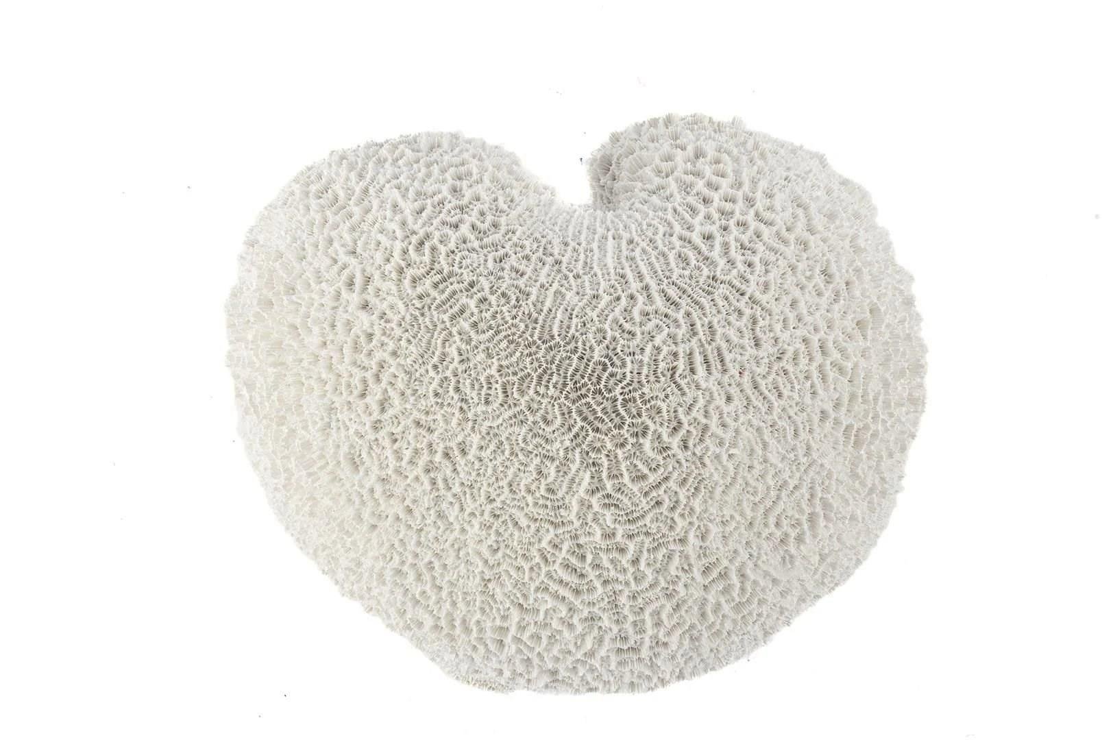 MİKASA BEYAZ MERCAN RESİN OBJE 22X20X12CM