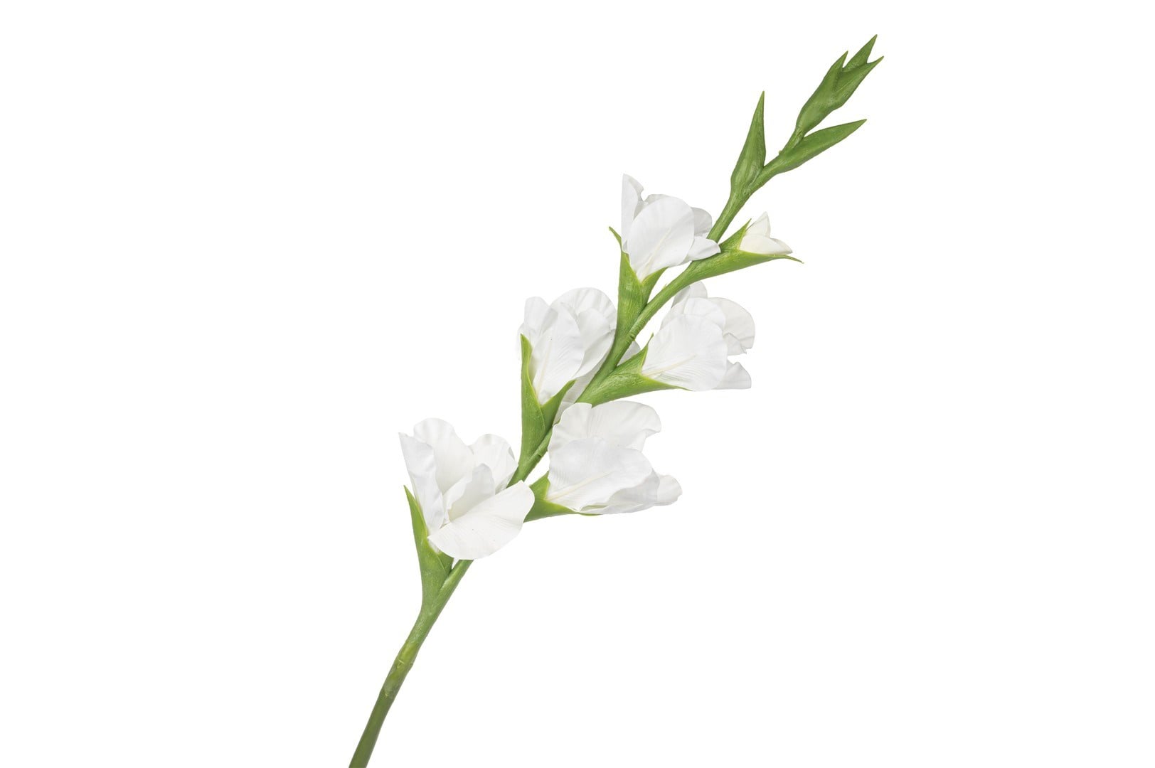 Mikasa Beyaz Yapay Glayöl 86cm