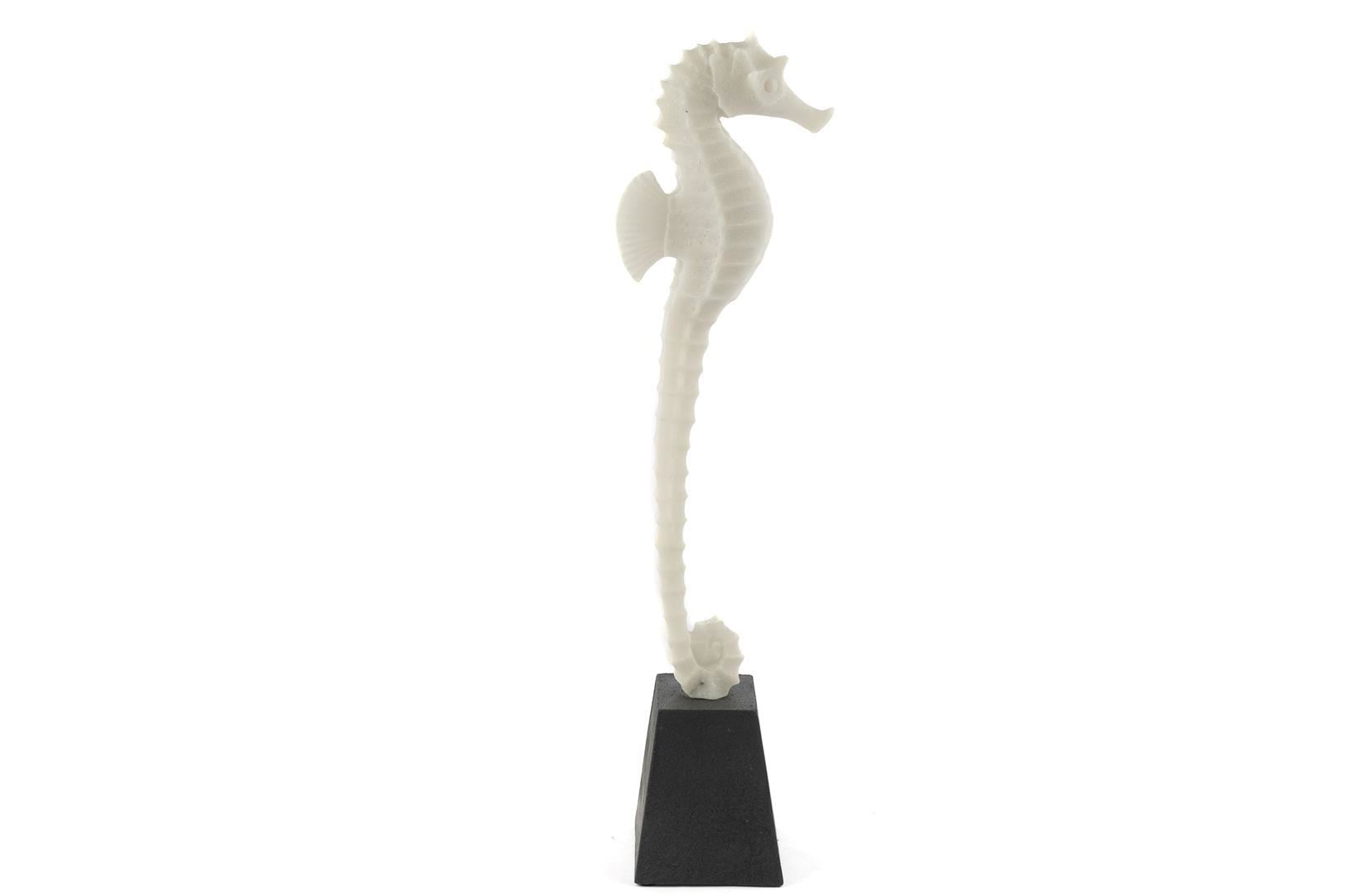 MİKASA BİBLO DENİZ ATI 13X51 CM