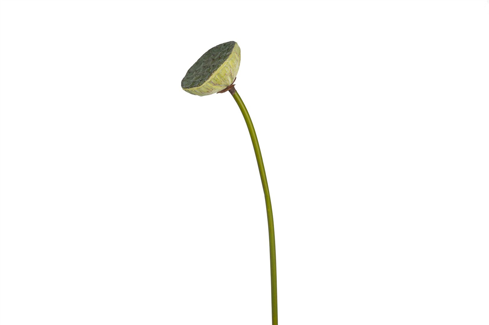 Mikasa Lotus Tomurcukları Yapay Çiçek 76cm