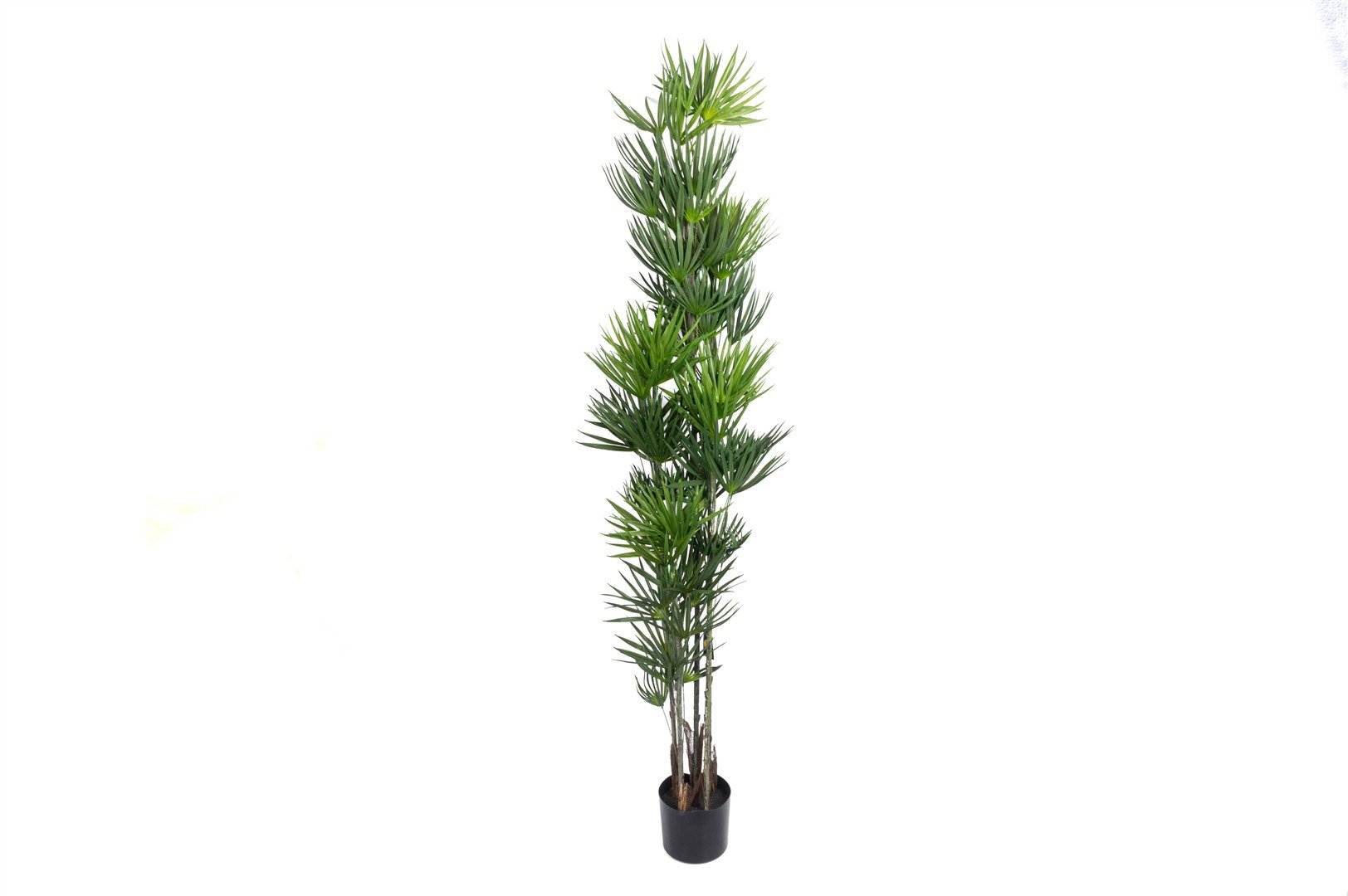 Mikasa Palmiye Yapay Ağaç 180cm