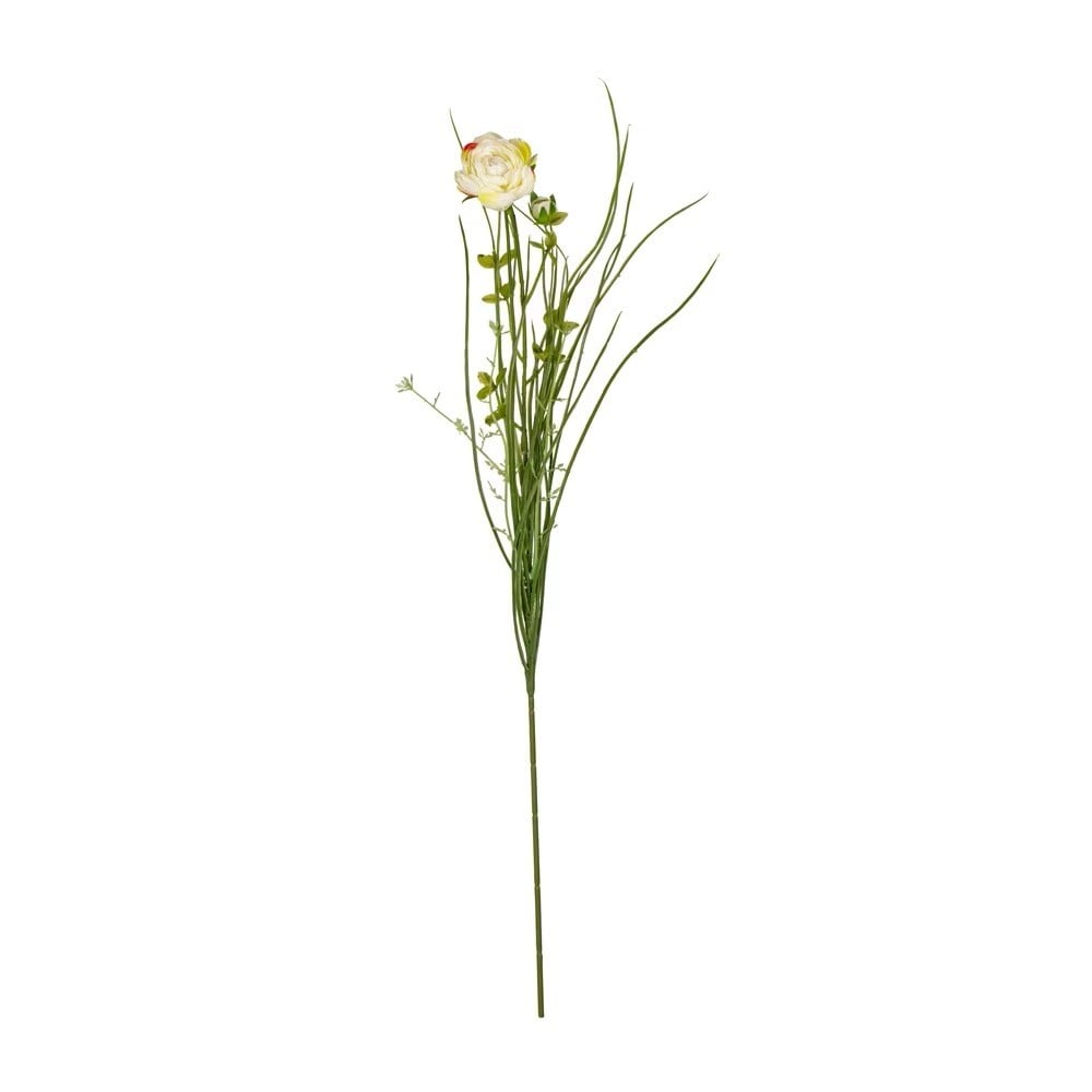 Ranunculus Tekdal 72 Cm. (green)