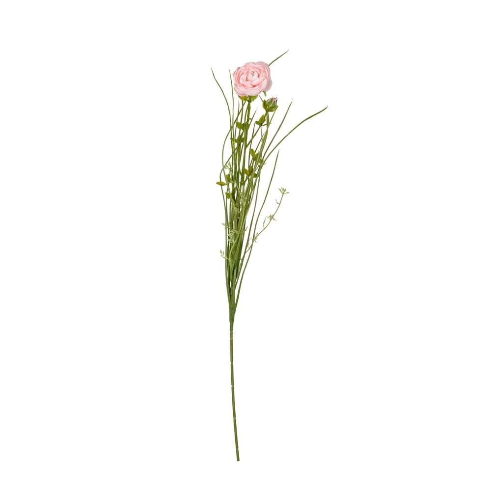 Ranunculus Tekdal 72 Cm. (pink)