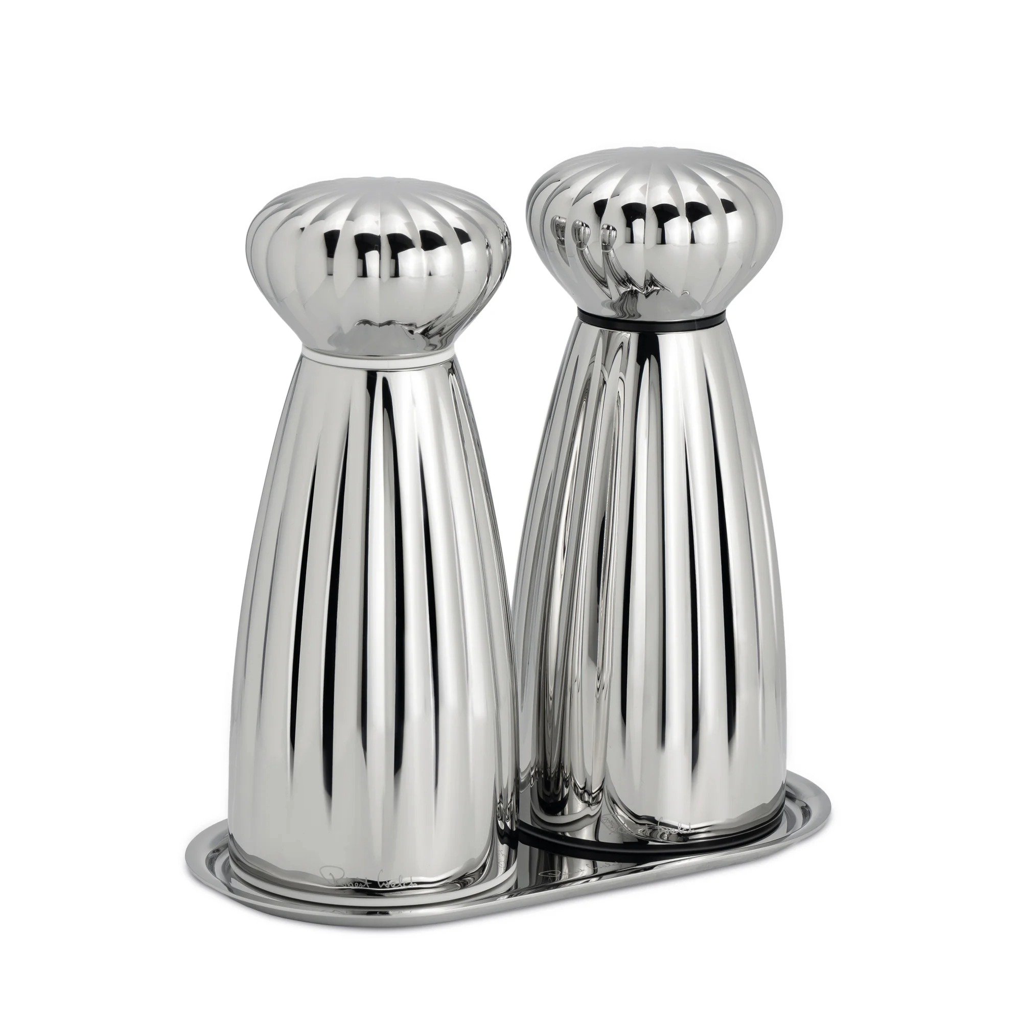 Robert Welch Parlak Tuzluk Biberlik Set