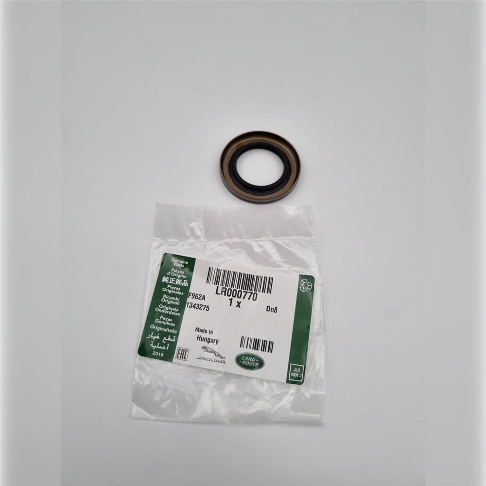 LR000770 ARAZİ ŞANZIMAN KEÇESİ