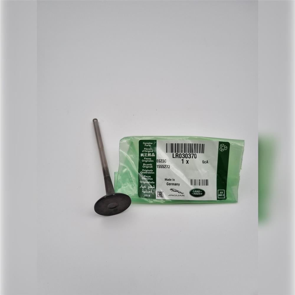 LR030370 EGZOZ SİBOP