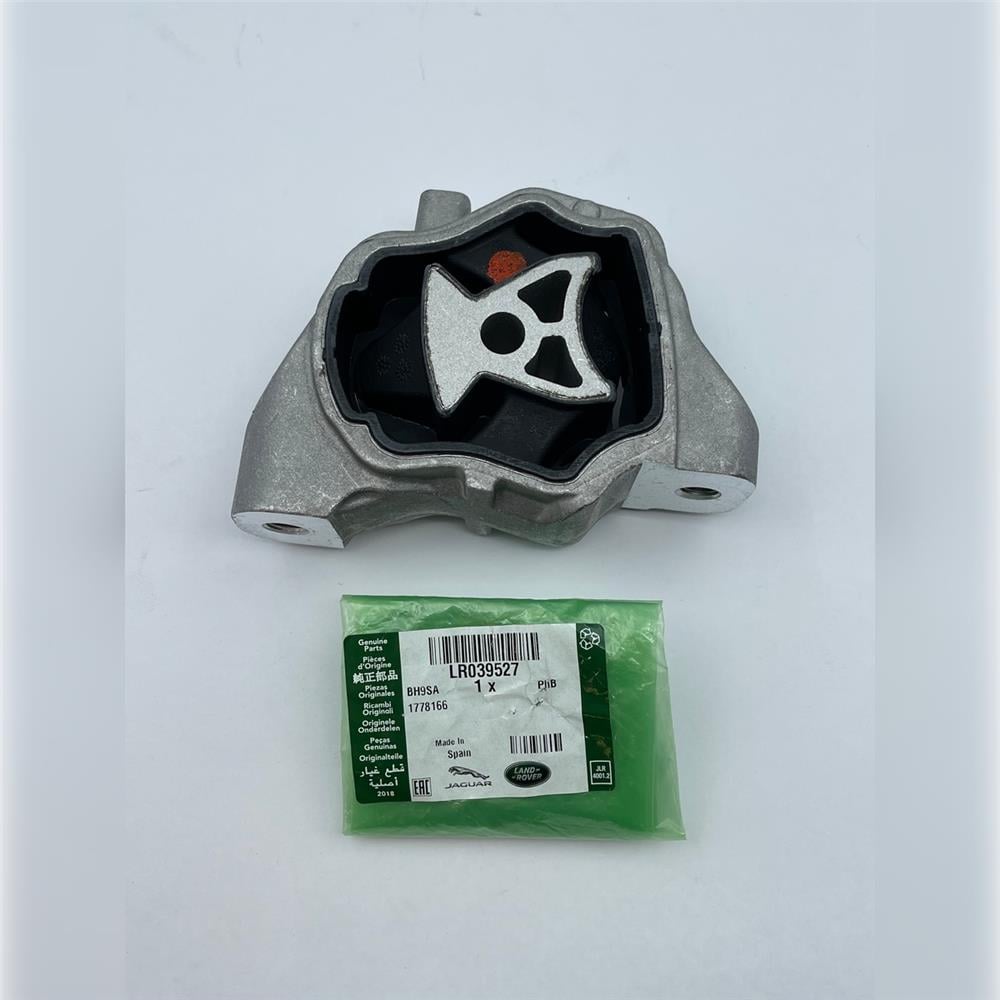 LR039527 MOTOR KULAĞI