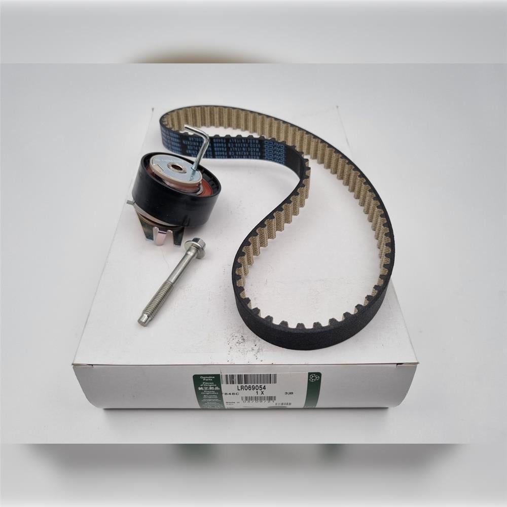 LR069054 TRİGER KAYIŞI