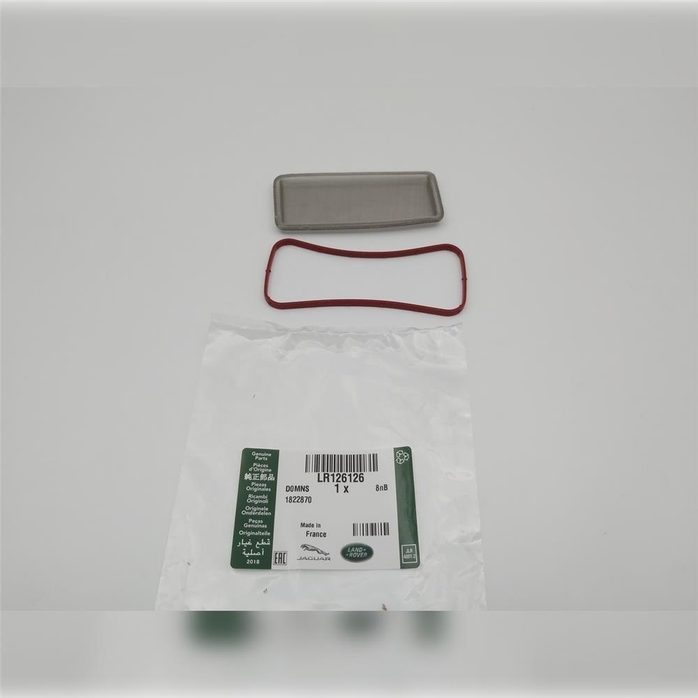 LR126126 EGR FİLTRESİ