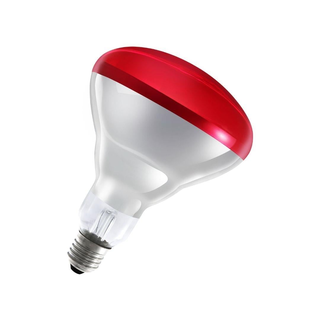 250W E27 KIRMIZI BR40 INFRARED AMPUL LEDVANCE O4099854022180