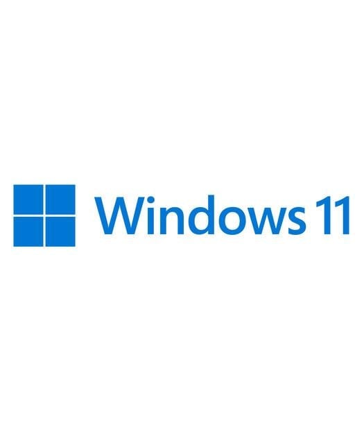 Windows 11 Professional Türkçe