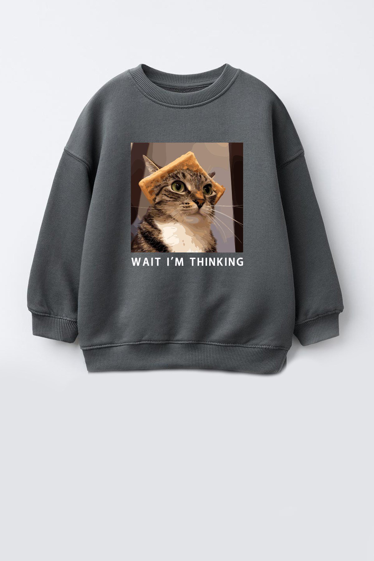 Erkek Çocuk 3 İplik Kumaş Kedi Baskılı Pamuklu Sweatshirt