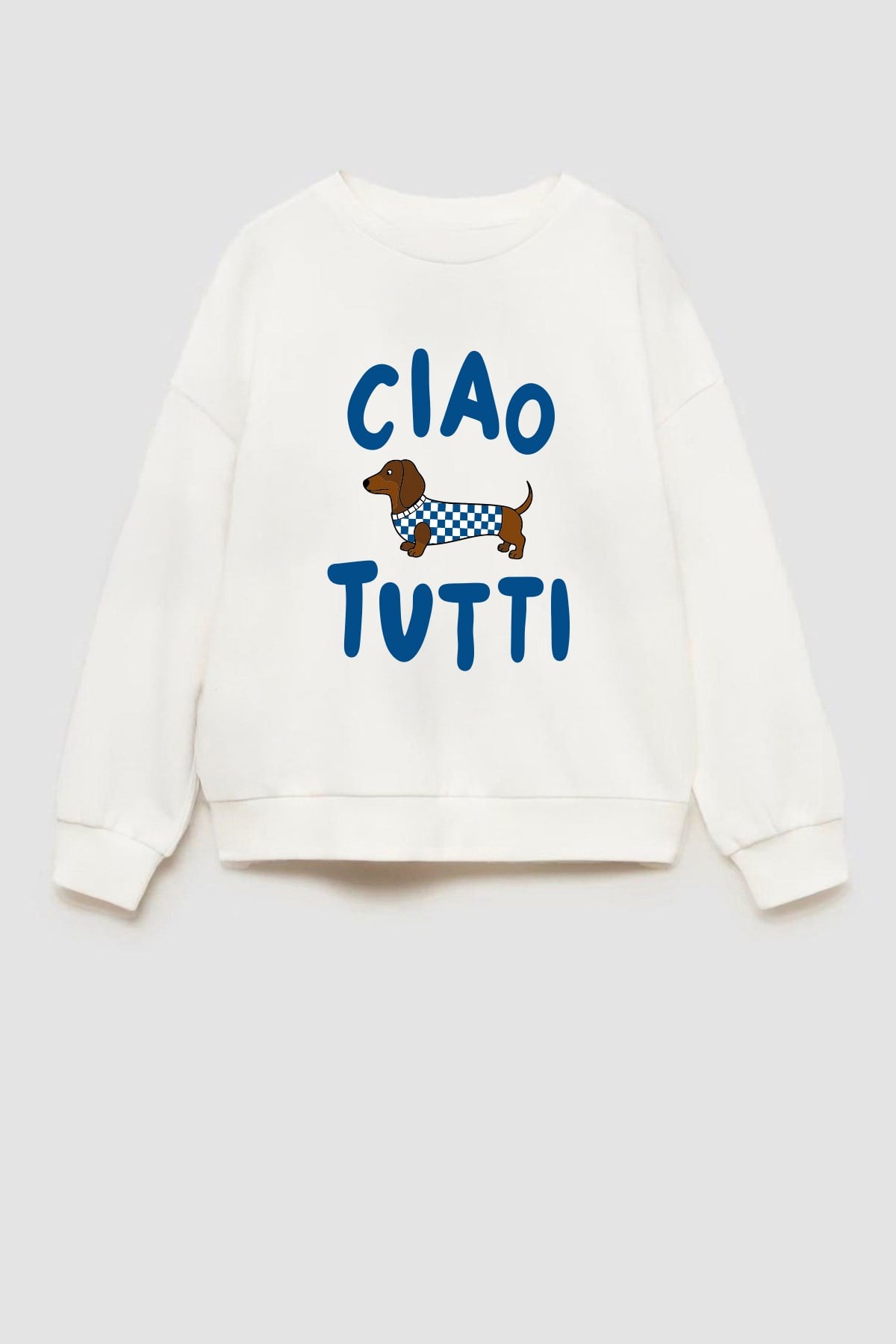 Erkek Çocuk 3 İplik Kumaş Köpek Baskılı Pamuklu Sweatshirt