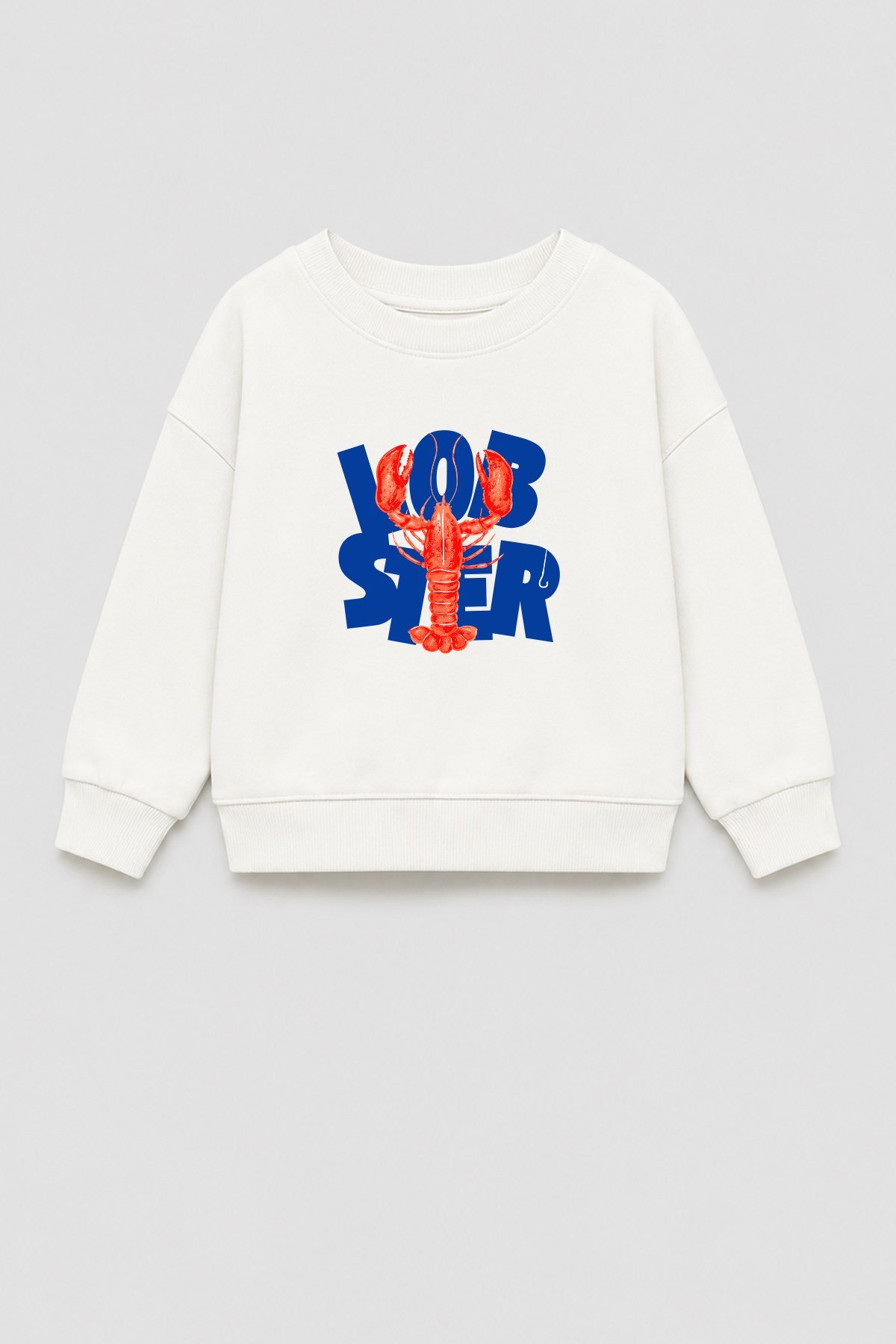 Erkek Çocuk 3 İplik Kumaş  Pamuklu Baskılı Sweatshirt