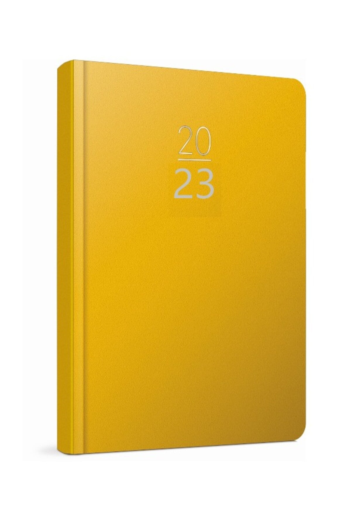2020 100-ECK 14x20 Eski Günlük Ajanda