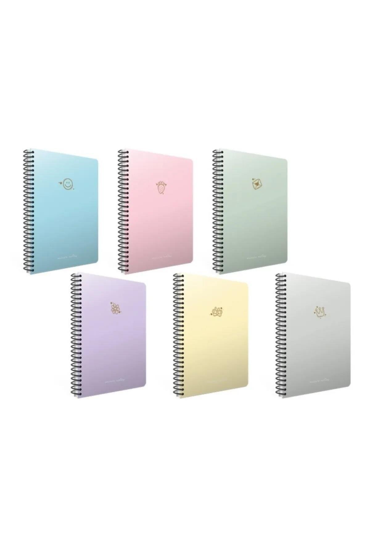 Micro Notes Spiralli Sert Kapak Not Defteri 17X24Cm 100 Yaprak Çizgisiz 6455 (Karışık Renk 1 A