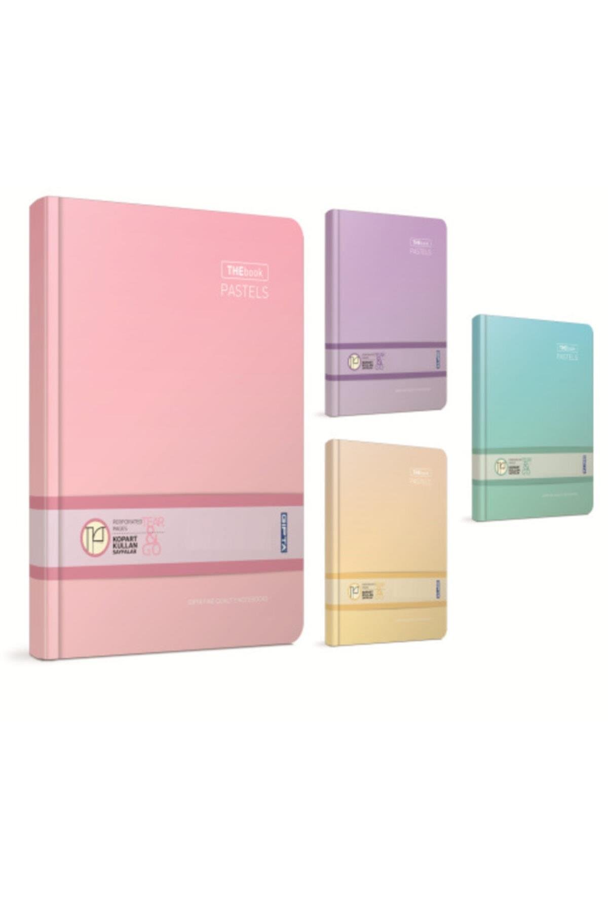 Thebook Pastels Ip Dikişli Sert Kapak Defter 20x28cm 160 Yaprak Kareli 3044 (karışık Renk 1 Ad)